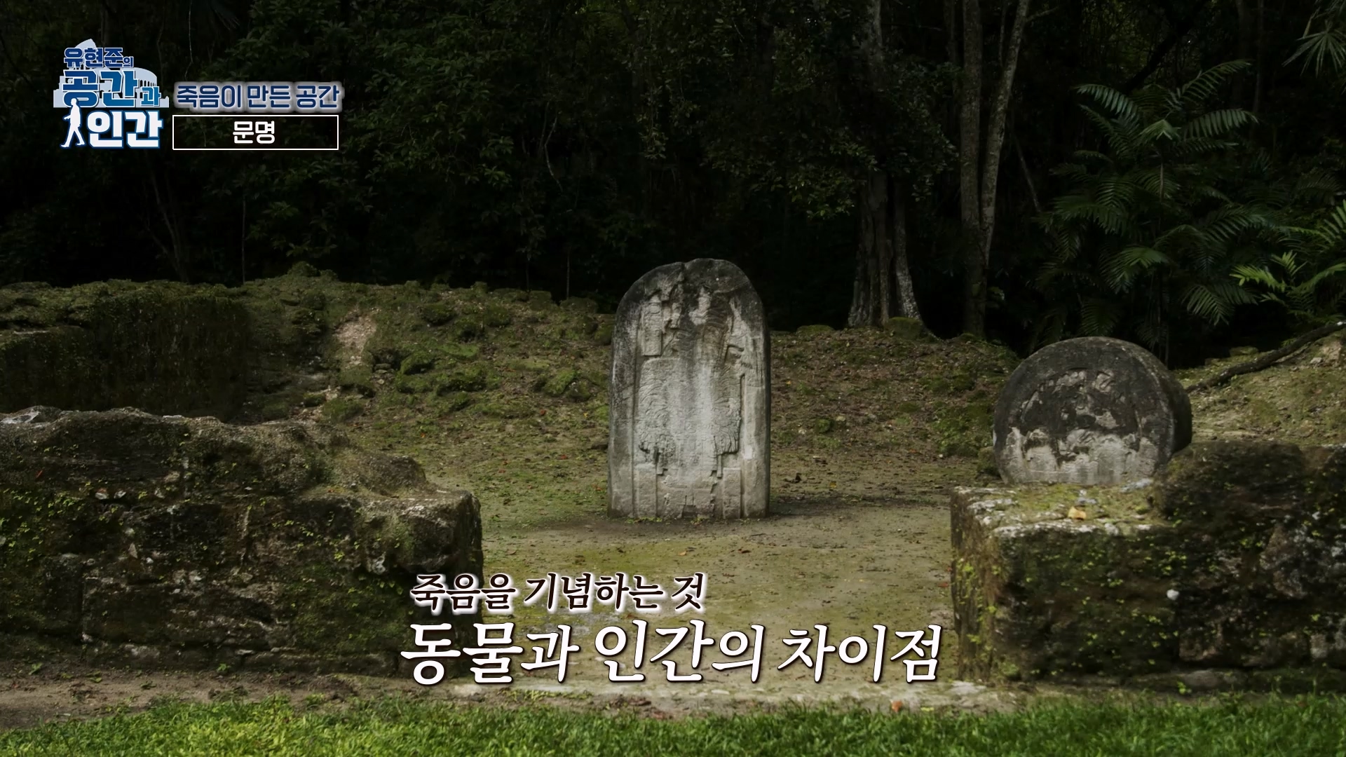 동물과 인간의 차이점
